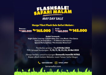 Flash-Sale-Safari-Malam