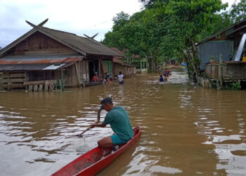 Bencana banjir di Kalteng. (Dok BNPB)