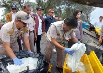 Bea Cukai Yogyakarta berhasil menggagalkan penyelundupan benih bening lobster sejumlah 80.000 ekor yang diduga akan diselundupkan ke Malaysia. Foto: Humas Bea Cukai