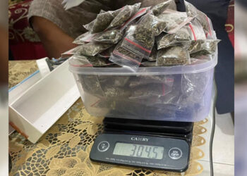 Sinergi Bea Cukai dan Polri berhasil menggagalkan pengiriman 304,5 gram narkotika jenis ganja ke Kota Ternate. Foto: Humas Bea Cukai