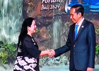 Ketua DPR RI Puan Maharani saat menghadiri World Water Forum (WWF) ke-10 di Bali, Senin (20/5/2024). Foto: Tangkapan layar YouTube