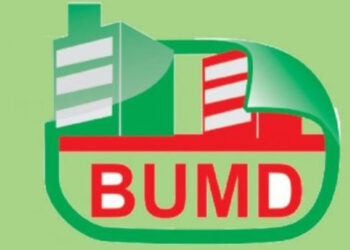logo-BUMD