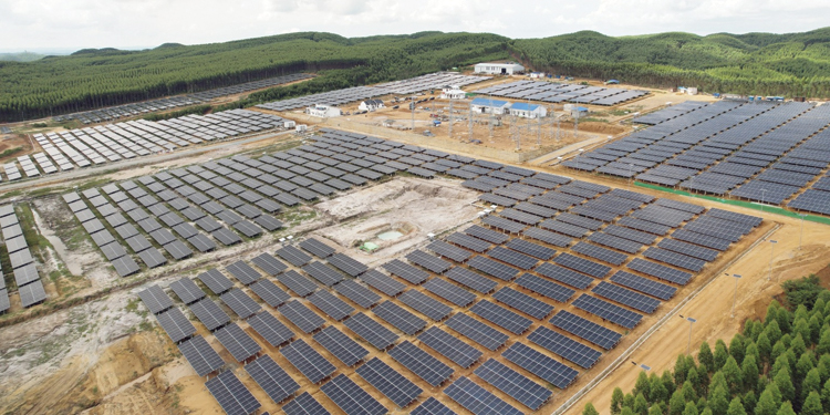 Pembangkit Listrik Tenaga Surya (PLTS) Ibu Kota Negara (IKN) 50 MegaWatt (MW) dibangun di lahan dengan luas 80 hektare dengan 21.600 panel surya dan mampu menyerap tenaga kerja lokal hingga 337 pekerja. Foto: PLN NP