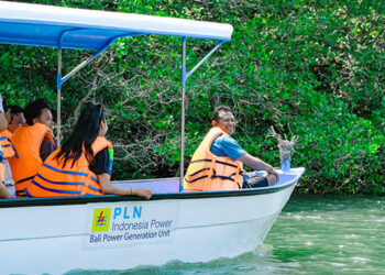Perusahaan Listrik Negara Indonesia Power (PLN IP) melalui Unit Bisnis Pembangkitan (UBP) Bali menjadikan tanaman mangrove sebagai motor untuk meningkatkan kesejahteraan masyarakat di sekitar wilayah pembangkit serta menjadi mata pencaharian baru untuk para nelayan. Foto: PLN IP