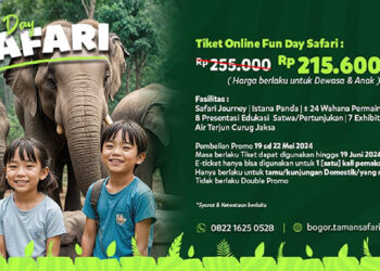 Promo Fun Day Taman Safari Bogor Kembali Dibuka, Tiket hanya Rp215 Ribu hingga Juni 2024 - safari - www.indopos.co.id