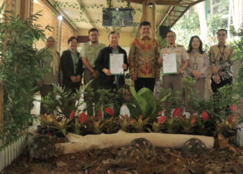 Langka di Dunia! Taman Safari Bogor Terima Empat Kura-Kura Madagaskar Sitaan Badan Karantina Indonesia